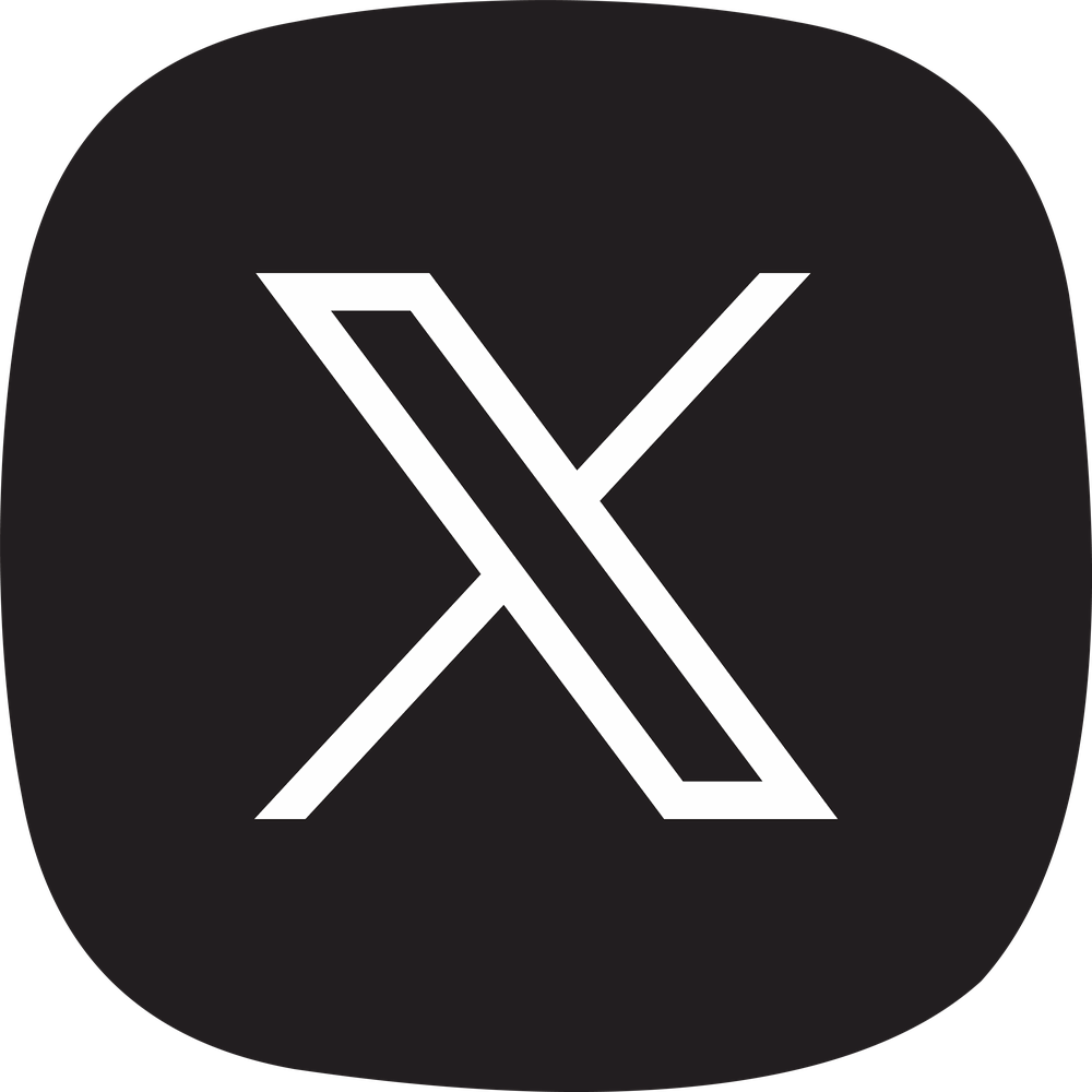 X (Twitter)